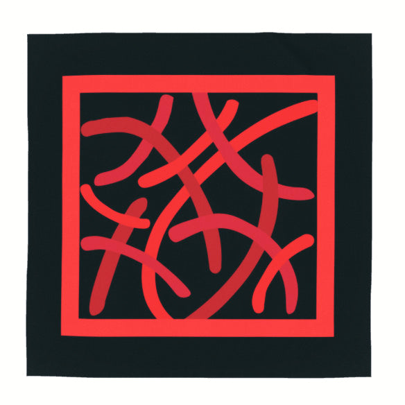 DILLADANCE I SILK SCARF
