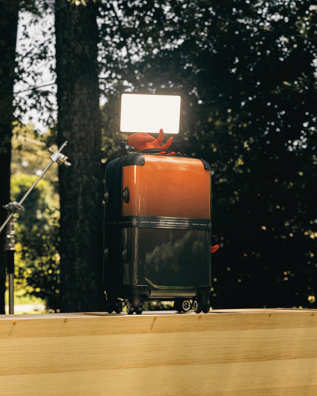 ALTITUDE 01 | ORANGE RISE